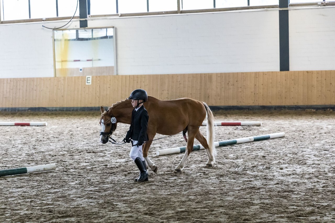 Bild 16 - Pony Akademie Turnier